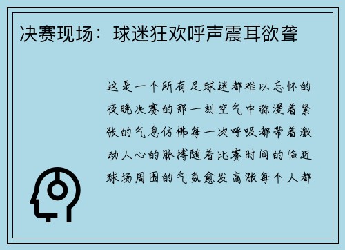 决赛现场：球迷狂欢呼声震耳欲聋